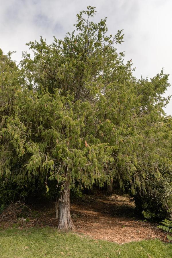 Maison Mialon: Country House Amidst Of Nature La Esperanza  エクステリア 写真