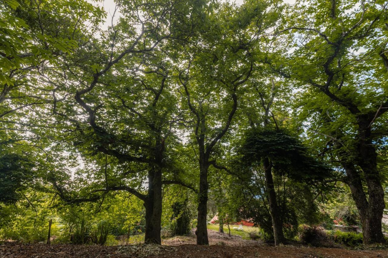 Maison Mialon: Country House Amidst Of Nature La Esperanza  エクステリア 写真