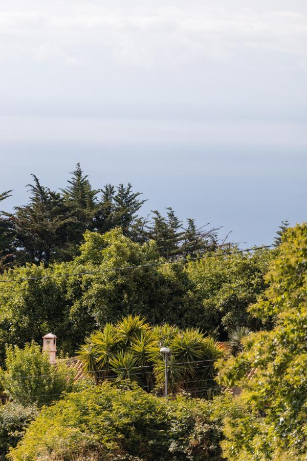 Maison Mialon: Country House Amidst Of Nature La Esperanza  エクステリア 写真